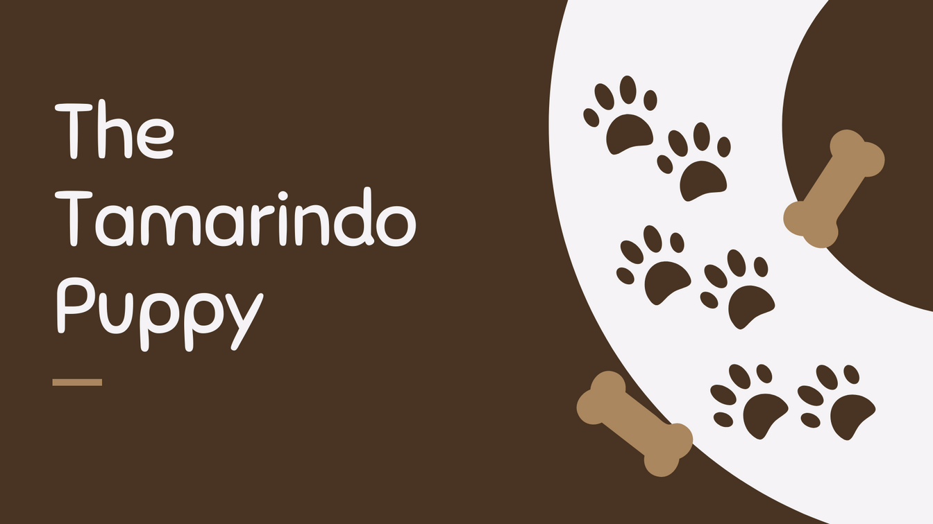The Tamarindo Puppy